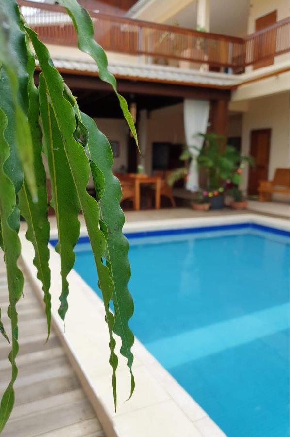 Amalia Apartments Paramaribo Ngoại thất bức ảnh