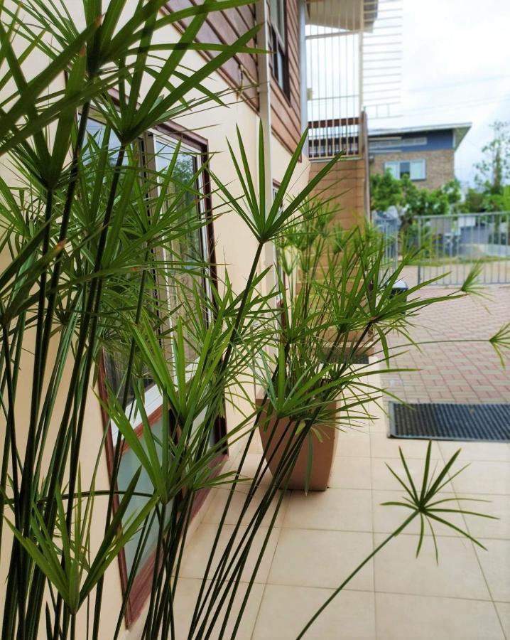 Amalia Apartments Paramaribo Ngoại thất bức ảnh